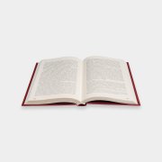 Книга «Защита местного самоуправления». Екатерина Шугрина, #6
