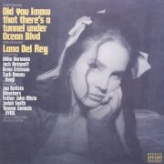 Lana Del Rey. Виниловая пластинка «Did You Know That There's a Tunnel under Ocean Blvd», 2LP, #9
