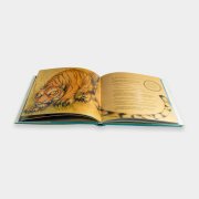 Книга «Сказочный Сахалин. Золотое издание», #4