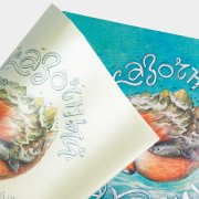 Книга «Сказочный Сахалин. Золотое издание», #7