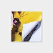 Harry Styles. Виниловая пластинка «Fine Line», 2LP, #4