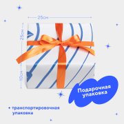 Подарочный набор для ухода за винилом «START», #3