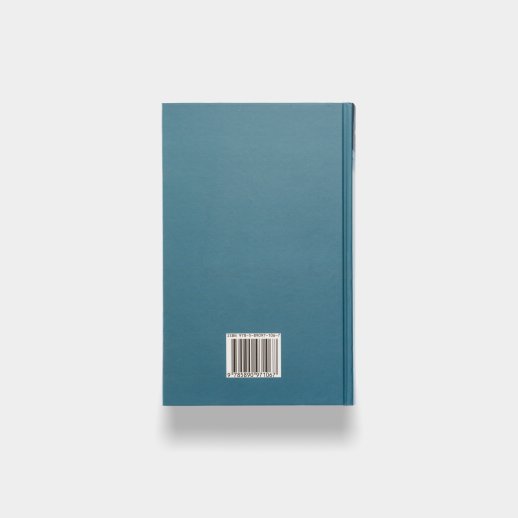 Книга «Идея». Михаил Попов, #2