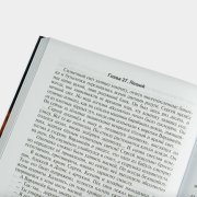 Книга «Легенды об охотнике». Ирина Шведская, #7