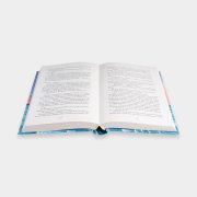 Книга «Я назову тебя — Лазурный свет». Ча Гын Хо, #4