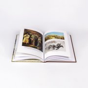 Книга «Дело под Иканом. Сотня против тысяч». Алексей Пленцов, #4