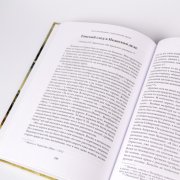 Книга «Дело под Иканом. Сотня против тысяч». Алексей Пленцов, #5