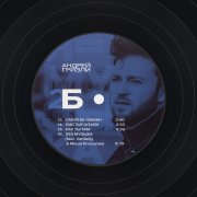 Андрей Гризли. Виниловая пластинка «Я=Музыка», 2LP, #4