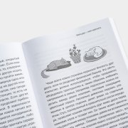 Книга «Содержание кошек с умом». Кристине Хаушильд, #6