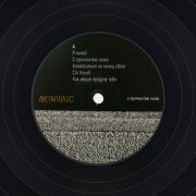 МЕГАПОЛИС. Виниловая пластика «С прочностью нитки», LP, #4